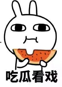 娱乐吃瓜酱画饼